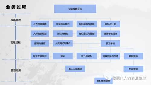 數(shù)據(jù)產(chǎn)品在人力資源管理的實踐與思考 一、在線數(shù)據(jù)處理與交易處理業(yè)務(wù)